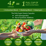 Folona super greens 120 capsules bottle side view