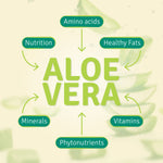 Side view of Aloe Life natural digestive aid liquid bottle with gluten free and organic certifications