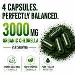 Cracked cell wall chlorella powder texture visualization