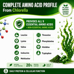 Premium blue green algae chlorella supplement bottle