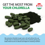 Sun Chlorella green algae tablets close up