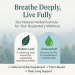 Ethale mullein leaf extract and chlorophyll formula product packaging