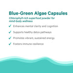 Nutritional facts label on the back of The Synergy Company blue green algae capsules bottle.