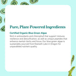 Pure Synergy green superfood bottle with chlorophyll capsules placed on a clean surface.