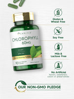 Authentic USA imported Carlyle Chlorophyll 90 capsules packaging details