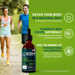 Peppermint flavored liquid chlorophyll supplement drops showcasing its clean gut detox features