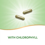 Back view of herbal non-GMO parsley leaf capsules listing vegetarian ingredient facts