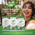 Premium quality green herbal supplement packaging for daily digestive wellness and freshness