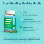 Sugar free chlorophyll supplement nutritional facts and natural detox benefits.
