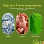 Close up view of Herbs Etc ChlorOxygen bottle cap and security seal for safety verification