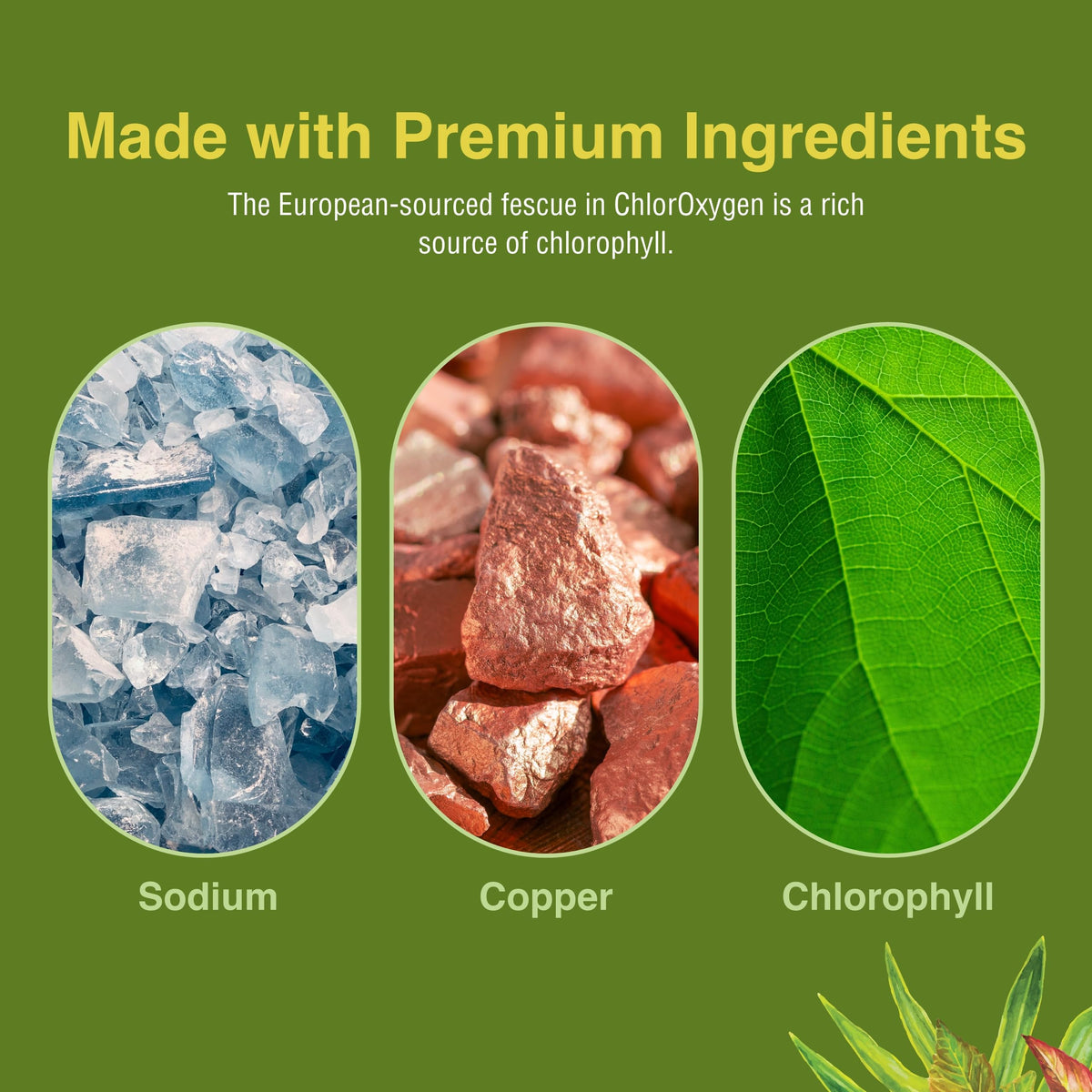 Close up view of Herbs Etc ChlorOxygen bottle cap and security seal for safety verification