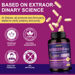 Zebora Premium Berberine HCL GMP certified seal