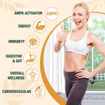Zypherionixis Liposomal Berberine dropper bottle packaging