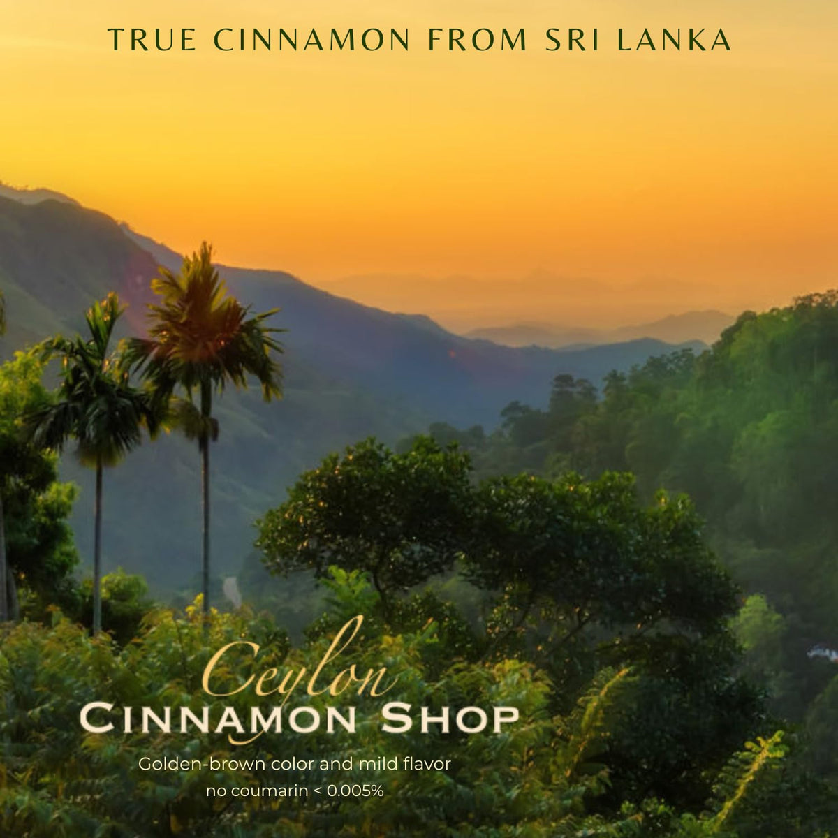 Ceylon Cinnamon Shop Organic Ceylon Cinnamon USDA organic certification seal