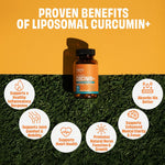 Manna Vitamins Evolved Curcumin softgels packaging