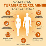 OmniBiotics 1500mg Turmeric Curcumin vegetarian capsule detail