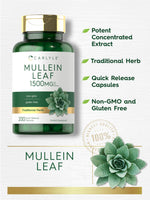 Carlyle Mullein Leaf herbal respiratory support capsules
