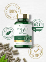 Carlyle Mullein Leaf 1500mg USA imported health supplement
