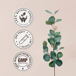 Authentic imported Garden Organics bilberry fruit extract bottle highlighting its vegan and non-GMO formula.