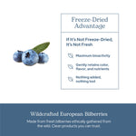 Eclectic Institute wildcrafted bilberry 450mg whole herb dietary supplement packaging