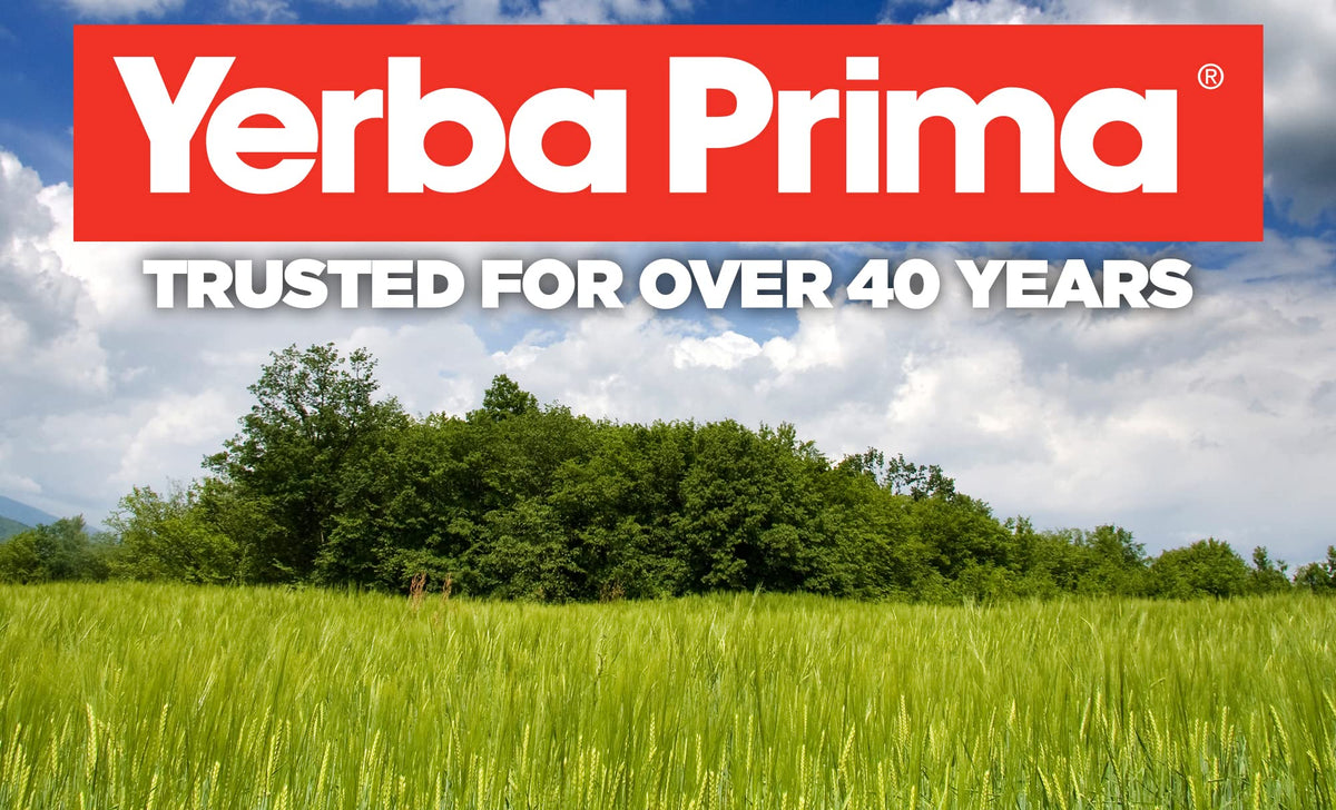 Yerba Prima Bilberry Extra Strength packaging showing ingredients list and usage directions.