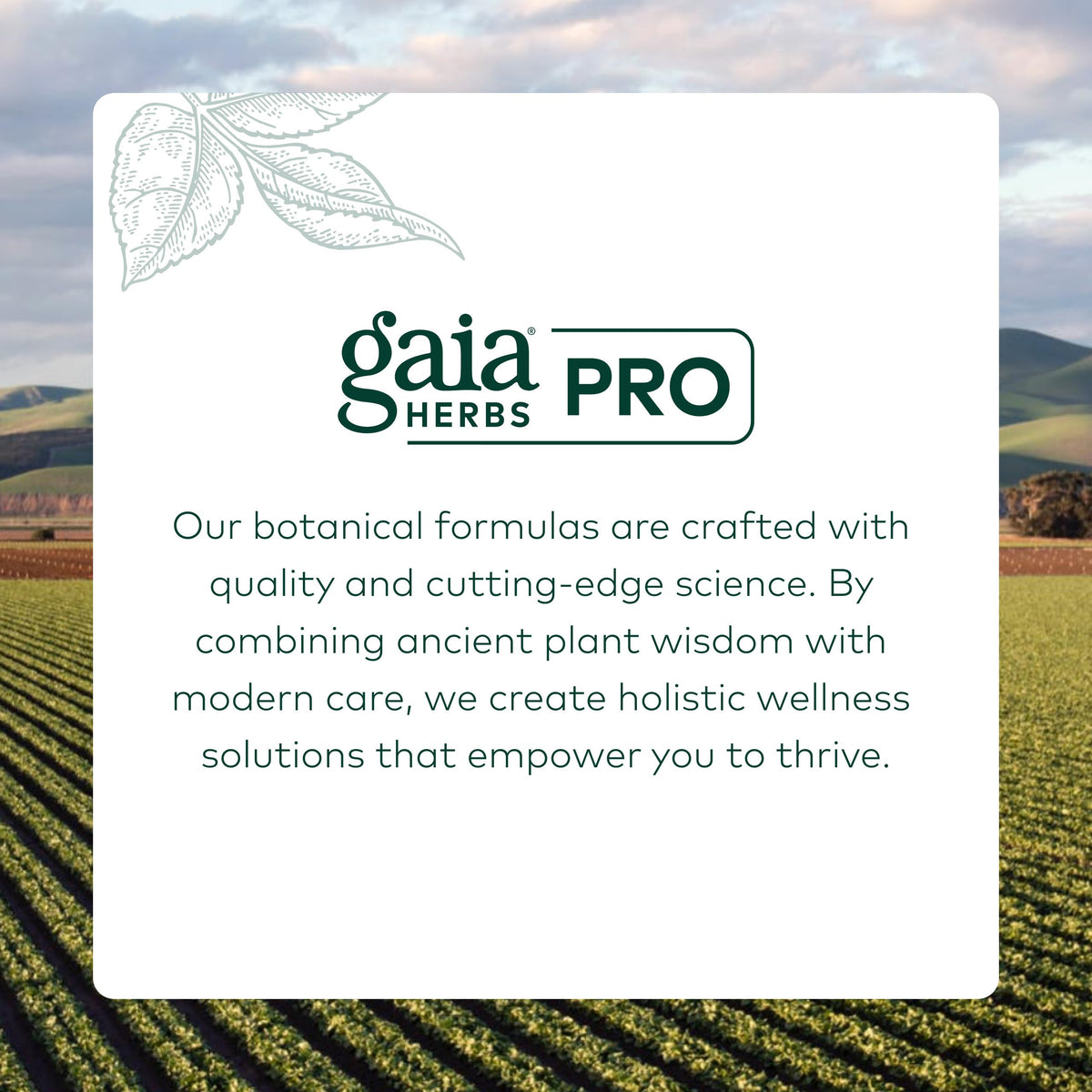 Full layout of the authentic USA imported Gaia Herbs Pro immune support supplement bottle and box