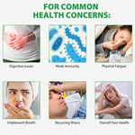 Close up look of smooth easy to swallow non GMO softgels from the Acentia Labs organic herbal defense line