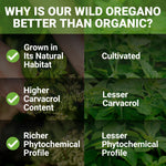 New Roots Herbal non GMO vegan gluten free wild oregano oil drops