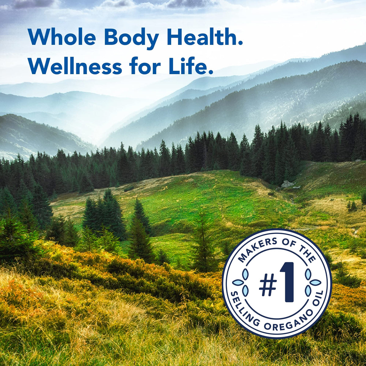 High altitude sourced wild oregano oil dietary supplement capsules close up view