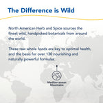 North American Herb And Spice protective seal and brand details on daily wellness product