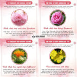 Hebora natural beauty and hormone regulating capsules showcasing premium imported bottle design