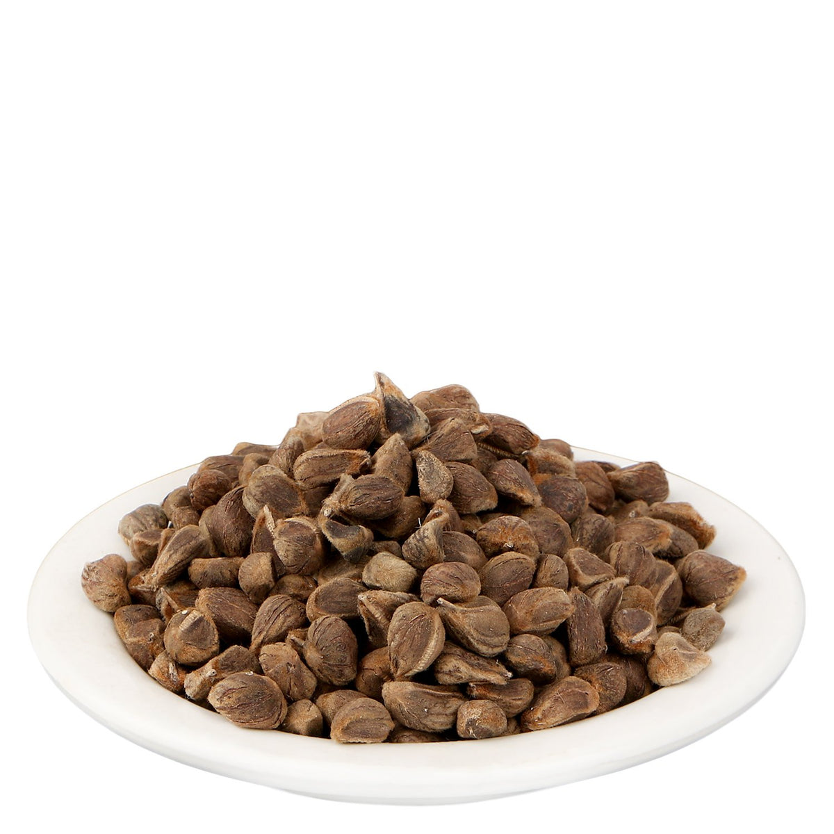 Close up shot of pure machine sorted Argyreia Speciosa Vruddhadaru seeds from Yuvika brand.