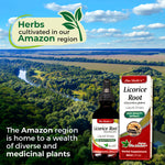 Fito Medic's Lab Licorice Root extract label ingredients
