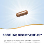 Nature's Way DGL Ultra ingredients and vegan certification