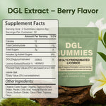 Back label of Wdvnex DGL digestive support gummies
