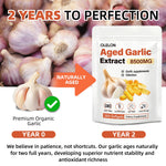 OLELON Aged Garlic 350 softgels showing the high potency odorless supplement facts label details