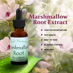 Amber glass bottle of Best Botanicals marshmallow root extract