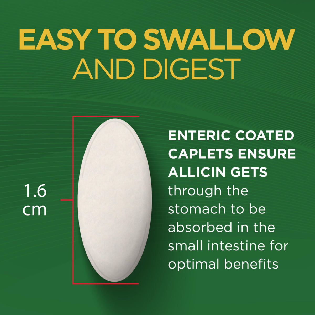 Dropy India authentic Garlique imported dietary supplement bottle view