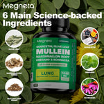 Close up of Megneta Mullein Leaf and Olive Leaf capsule bottle