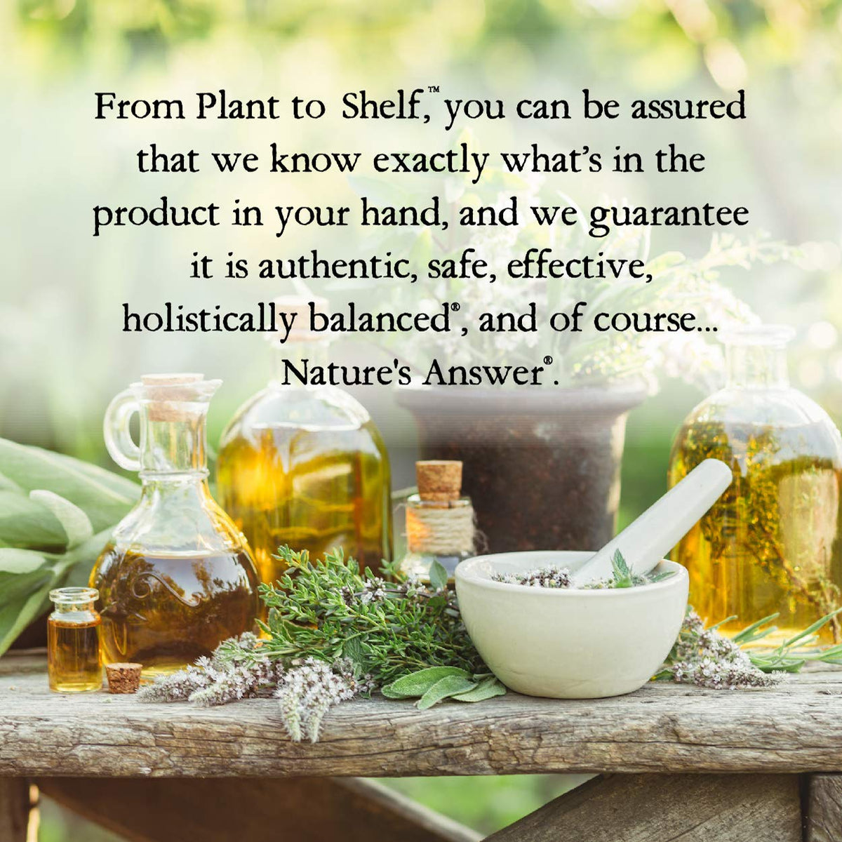 Back label displaying ingredients and dietary supplement facts