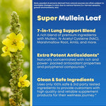 Authentic USA imported Solnuvi respiratory health supplement