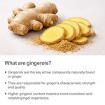 TRAVELSANA organic ginger capsules 18mg gingerols content breakdown illustration.