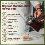 Back label showing ingredients of Organic Way marshmallow root