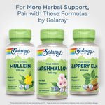 Solaray marshmallow root lifestyle health support imagery