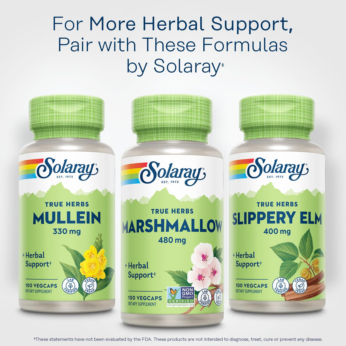 Solaray marshmallow root lifestyle health support imagery