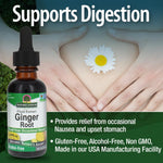One fluid ounce packaging of non-GMO certified alcohol free ginger liquid formula