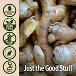 Nature's Answer ginger liquid tincture showing the herbal dropper application method