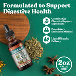 Rejuvica Health DigestaPro liquid supplement dropper showing premium herbal ingredients label.