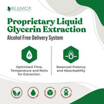 Back label of Rejuvica Health DigestaPro showing alcohol free dietary supplement facts.