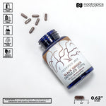 Back profile of Nootropics Depot Black Ginger Extract bottle highlighting standardizations and cGMP manufacturing certifications.
